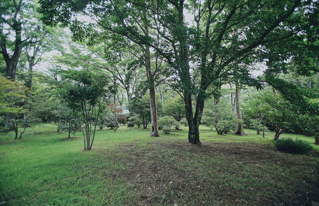 Hakone Man Rai Private Villa & Garden - Foto 41