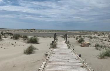 "La Pradeto" gite rural Camargue - Foto 20