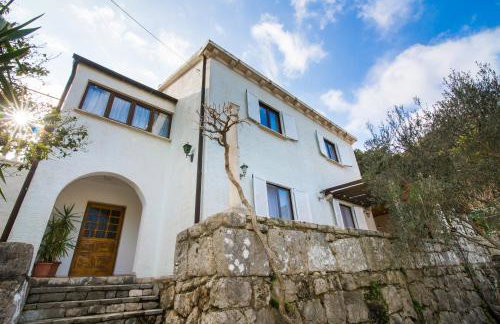 Apartments Nadine Mljet Komfort mit Meerblick - Foto 1