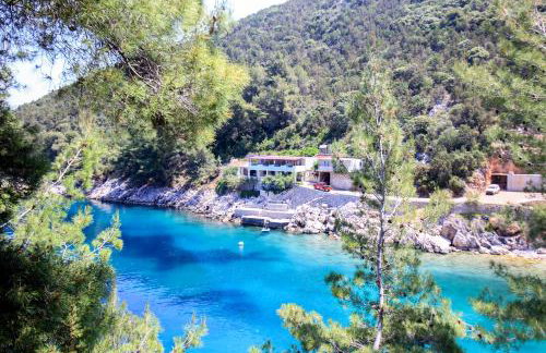 Robinson Srdelica - Foto 1