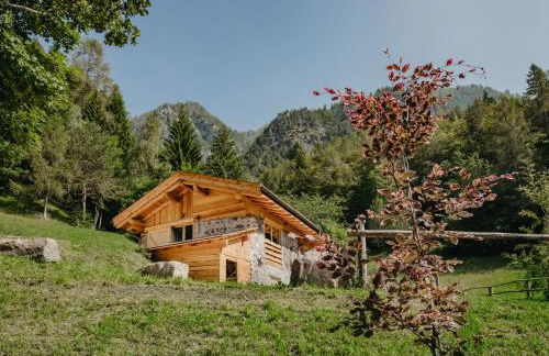 Odomi maso nel bosco - Eleganza e Relax nella Natura - Foto 32