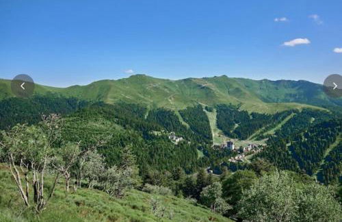 Village Montanha Lioran - Foto 19