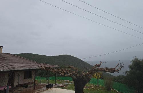 Κτήμα Βασίληγιάννη - Foto 69