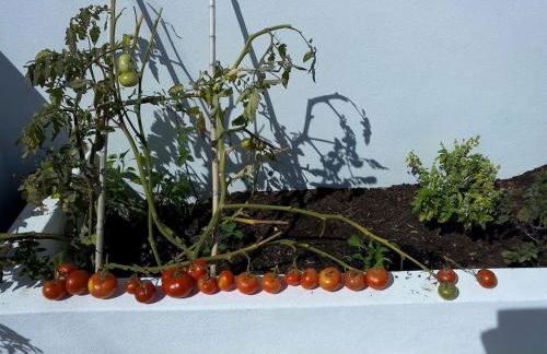 Lomba House, Almoçageme - Foto 33