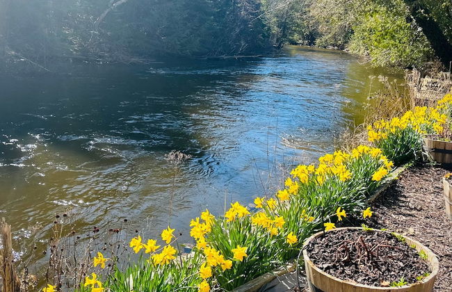 Boardman Monarch Upscale River Lodge HOT Tub! - Foto 1
