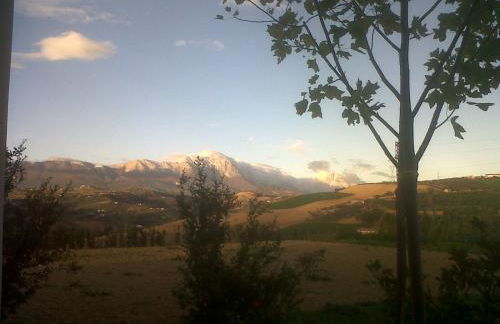 Agriturismo Cignale della Società Agricola Cignale srl - Photo 56