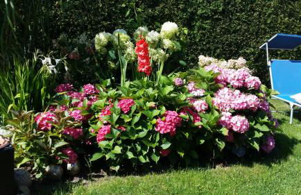 Ferienhaus Storchenweg - Foto 31