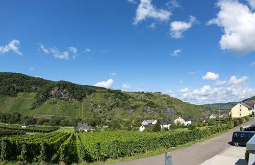 Weingut Christoph Müller - Foto 31