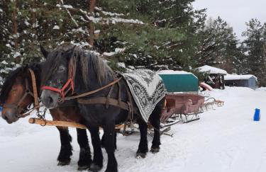 Farmstay Marianówka u Tesi - Foto 15