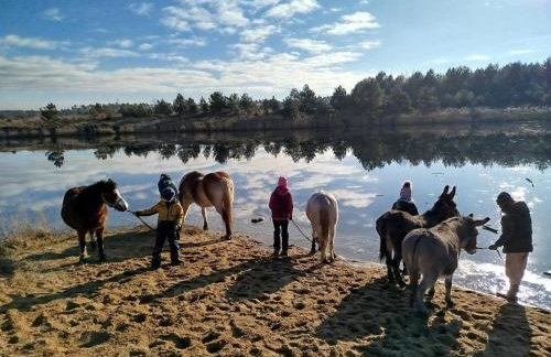Agroturystyka Traperska Osada - Foto 37