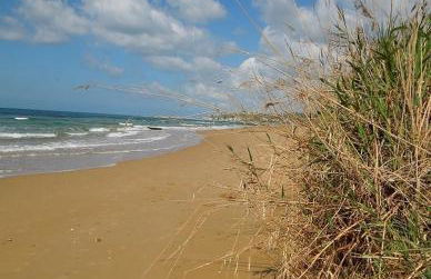 Villa Cipollazzo - Foto 25