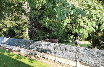 Maison familiale à Gerde - Foto 14