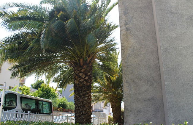 Katija Apartments - Photo 7