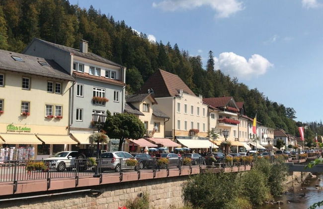 Meierhof Menzenschwand - Foto 7