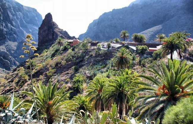 Finca Vista Bonita - Foto 34