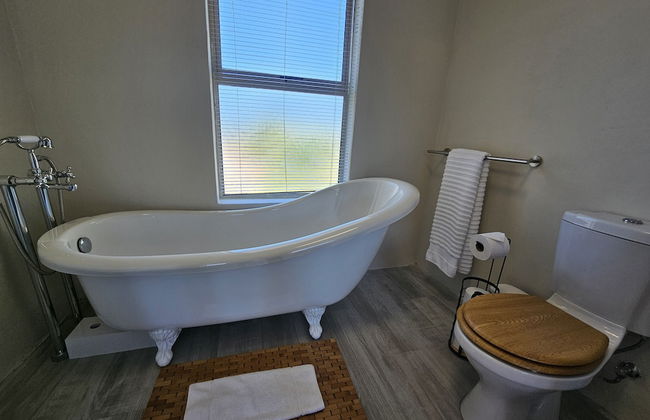 Dorphene 304 by CTHA - Photo 19