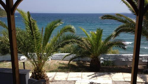 George Paradise - Foto 4