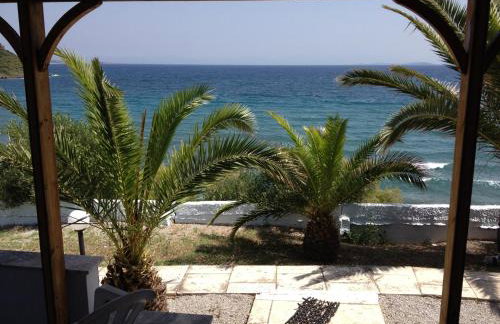 George Paradise - Foto 4