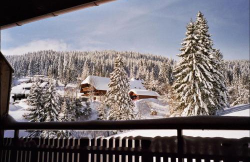 Schwarzwald-Hotel Kraeutle - Foto 72