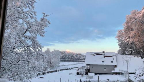 Landglück - Photo 2