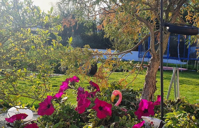 Reizendes Ferienhaus mit Swimmingpool Naehe Ostsee - Foto 18