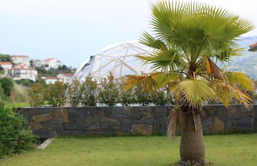 Quinta das Fontainhas - Photo 18