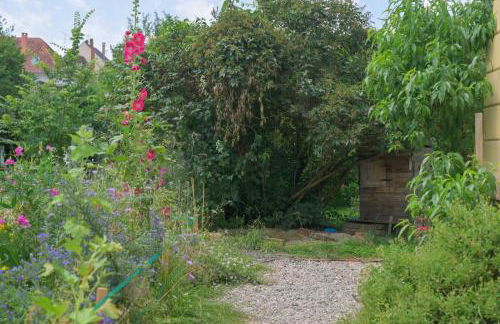 Colmar Friends and Familly guest home - ALL INCLUSIVE - COLMAR Gare - Jardin - Combles et Vous - Foto 80