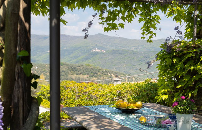 Laura (DOL281) - Foto 2