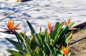 Cortijo Oro Verde B&B - Photo 18