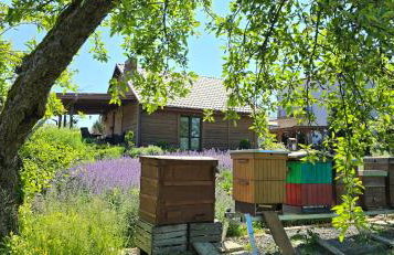 Agroturystyka u Joli - Foto 1