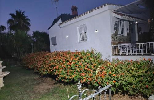 FINCA RIODIEL - Foto 13