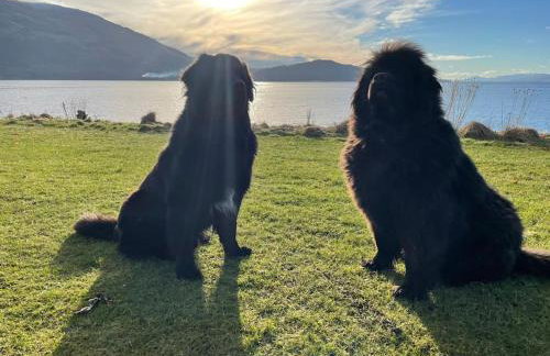 Dalrigh Pod - Photo 29