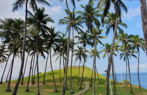 Barra Premium - Foto 42