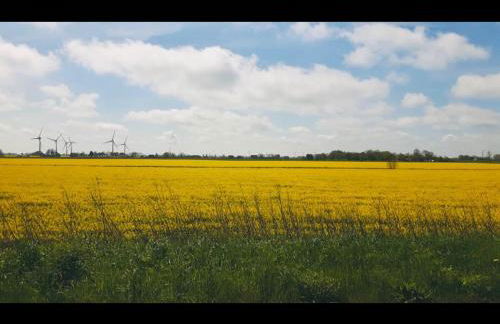 !NEU! Stilvolle Ferienwohnung Viola - Foto 33