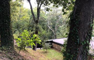 Sobreiro Valley - Casa Firmino - Foto 9