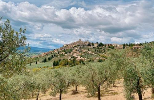 MancioBiba Home - Foto 58