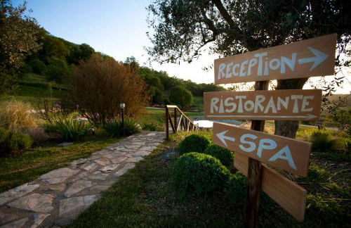 Sasseta Alta - Foto 17