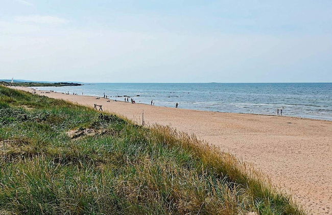 4 Person Holiday Home in Falkenberg - Foto 19