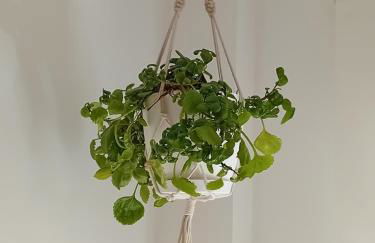 Casa La Victoria - Foto 21