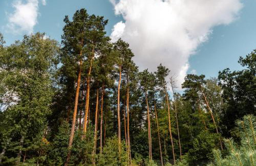 Willa Aleksandria - Foto 36