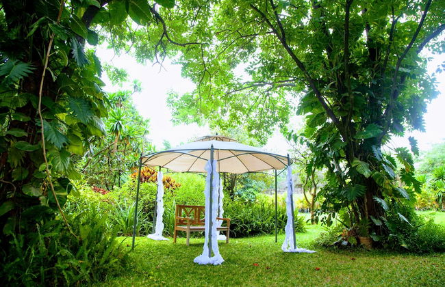 Lush Gardens Apartment 2 - Photo 16