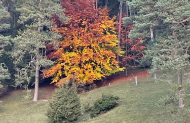 Ferienwohnung Aussicht, Monheimer Alb, Altmühltal - Foto 37