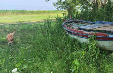 Nios House Panoramic Cottage - Photo 42