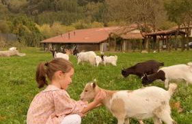 Casa Rural Jesuskoa - Foto 35