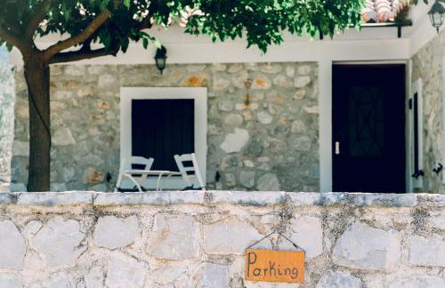 Olive Roots - Foto 61