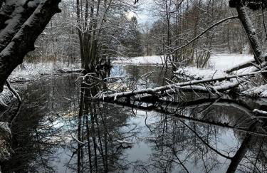 Ferienwohnung See und Sonne - Photo 21