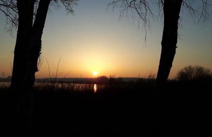 MOIN, MOIN & AHOI! - Foto 59