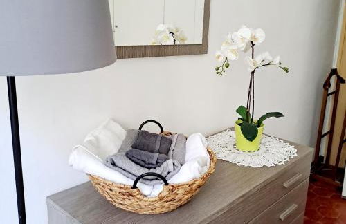 Final Mente - Foto 19