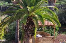 Villa Larnia de Tenerife - Foto 43