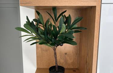 Sun Fun APT - Foto 21